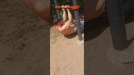 #short #shorts #shortsyoutube #motivation #shortvideo #sports #nature #спорт #турник