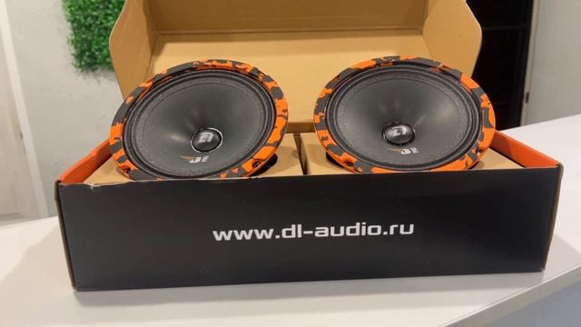 Обзор динамиков Gryphne PRO 165 SE от компании DL AUDIO