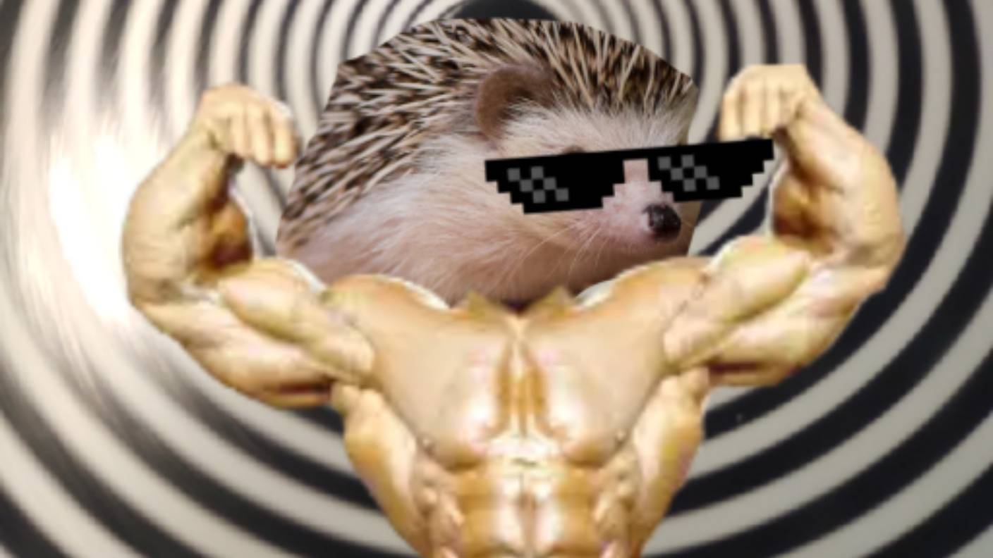 не банте