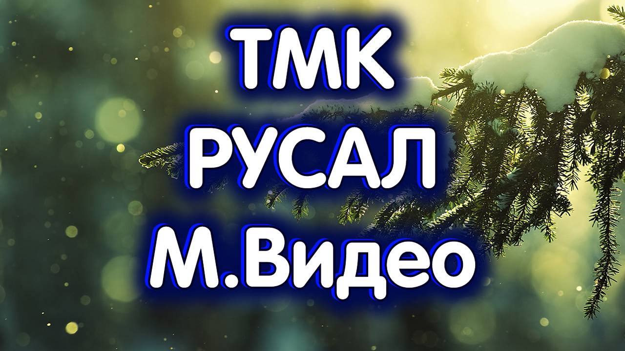 РУСАЛ, ТМК, М.Видео. Индекс МосБиржи. Обзор 29.11.2024