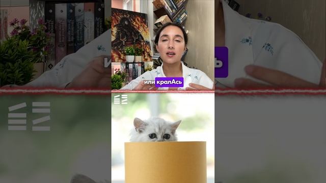 Ударение ТОП 5 ошибок #ЕГЭРусскийЯзык #Global_EE #ОГЭРусскийЯзык #СэвинджИсмаилова