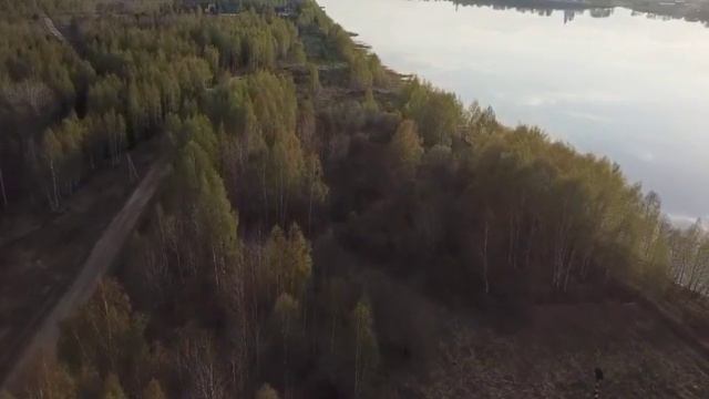 Терр. ДНП Волжская дубрава