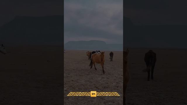 Азамат ерді сақтасын