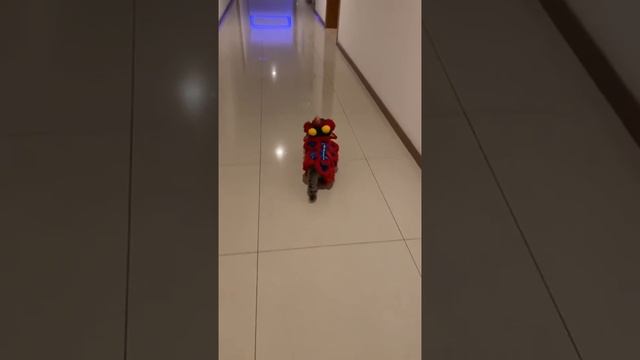 Мы в ВК https://vk.com/life_of_cats