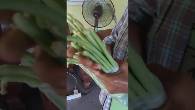 Фрукты и овощи