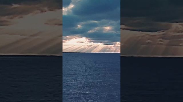17 ноября 2024 г.