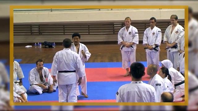 Ko Manji Ken (Manji No Kata) Tanen-Sotai. Shorinji Kempo, sensei Kawashima 少林寺拳法 武道少林寺拳法