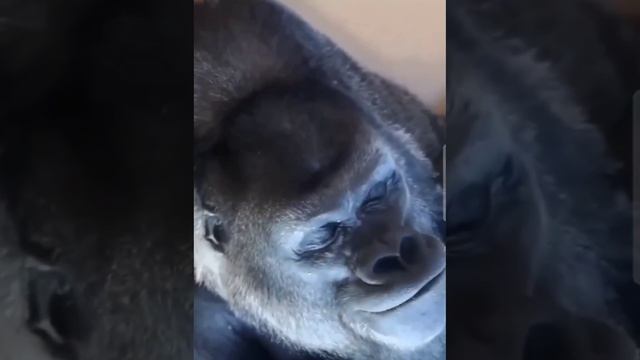 Какое небо голубое... 😁😂🔥