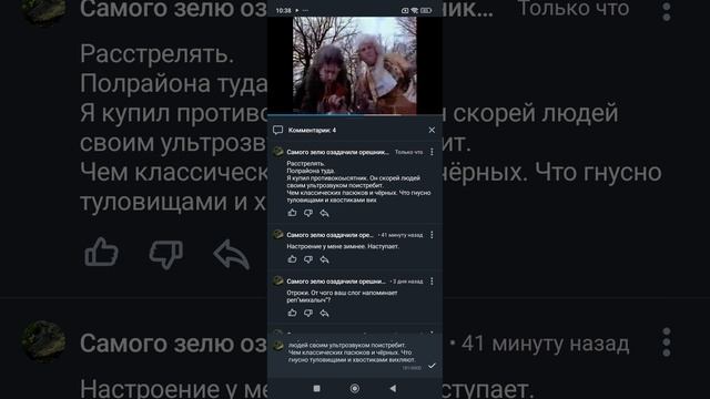 крыски в квартире
