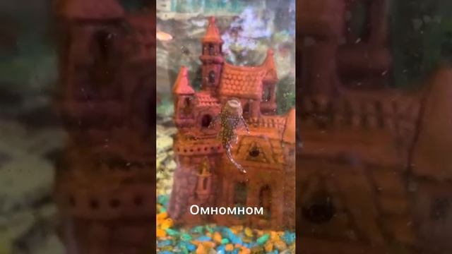 Омномном