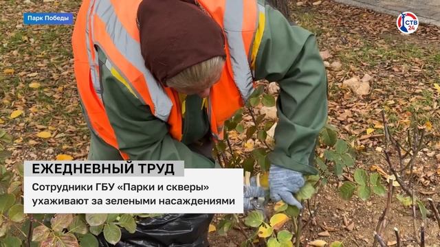 Сотрудники ГБУ «Парки и Скверы» провели уборку парка Победы (Дежурный по городу. 29 ноября 2024)