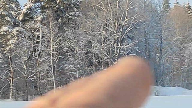 прогулка на лыжах, это не единственная встреча с лесными обитателями.