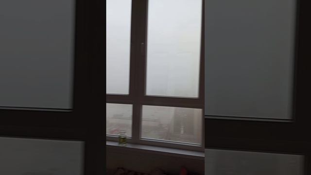 утренний вид