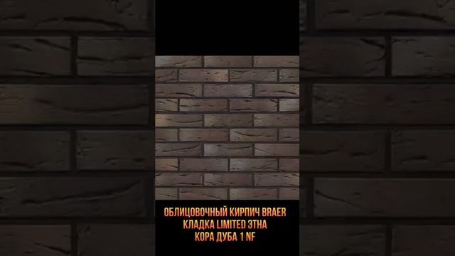 Новинки 2023 г. от BRAER Shorts