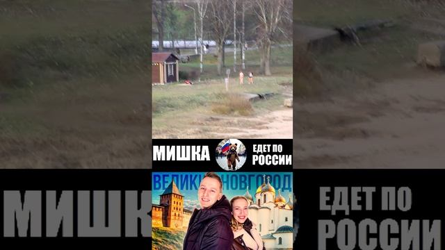 НАМ ЗАПРЕЩЕНО, А ОНИ КУПАЮТСЯ (МИШКА ЕДЕТ ПО РОССИИ) ПОЛНЫЙ РОЛИК НА ЮТУБЕ