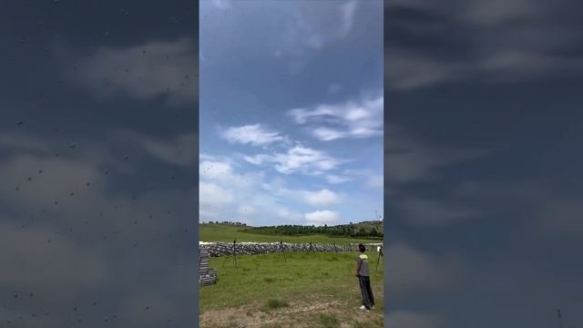 Давайте посмотрим, насколько далеко продвинулись китайские дроны