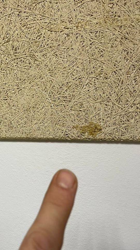 Акустические панели ЭкоВуд  заделка - шпатлёвка швов в единое полотно.