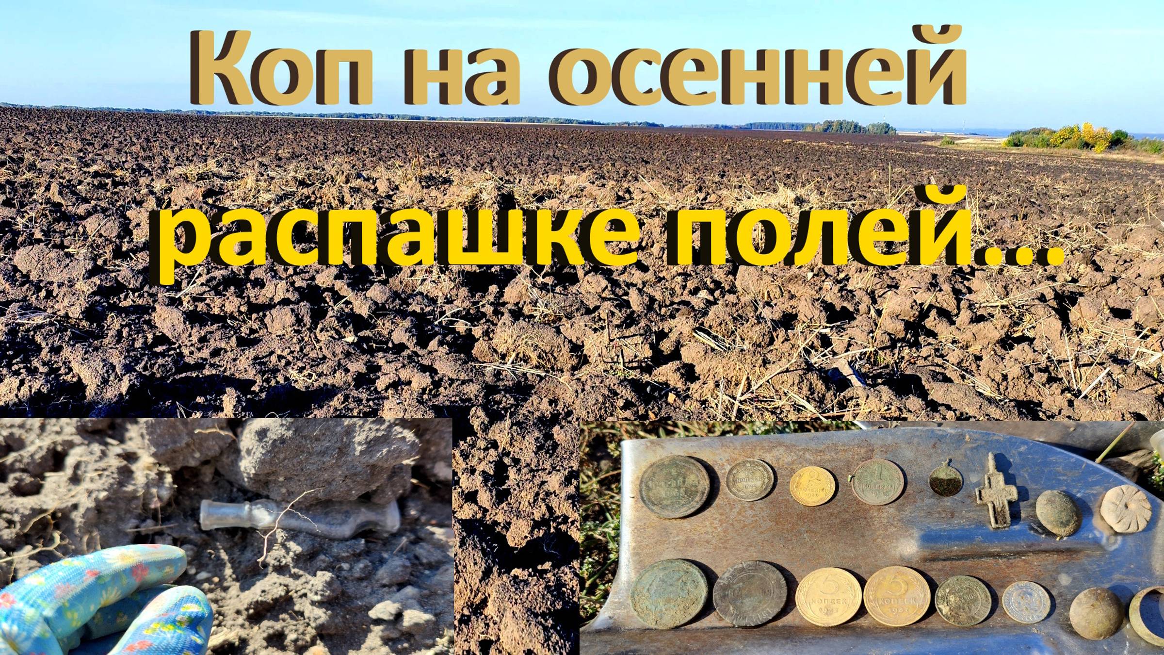 Коп на осенней распашке полей ...