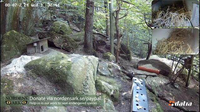 Лушата болеют. Шикарный обед,  но никто не пришёл