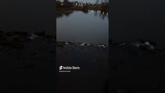 люблю тишину