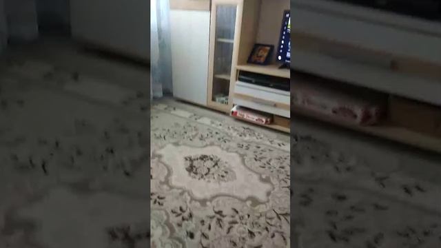День блогера