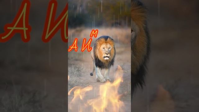 https://youtube.com/@yyuh-j9y?si=NwTuRU1ISZpeKlOL