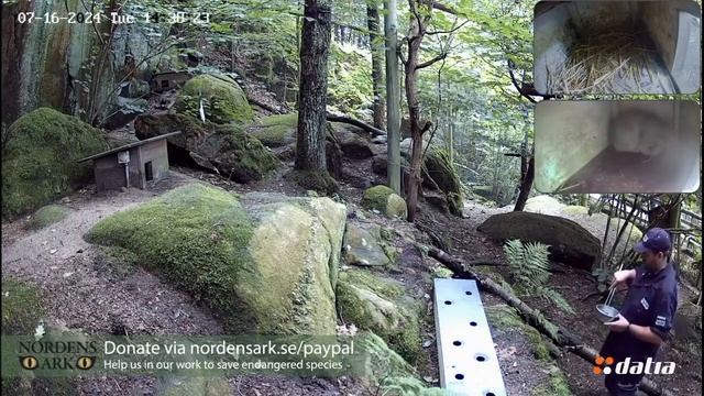 Лучшая работа в мире