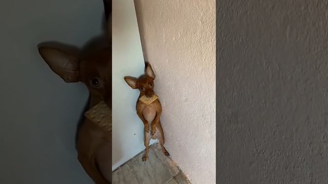 Психотравмы бывают разные...