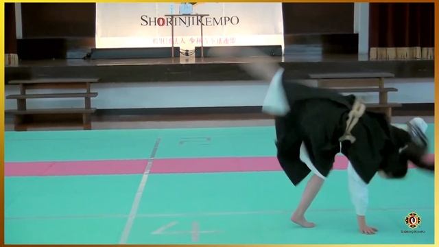 Best tandoku embu Shorinji Kempo. Demonstration techniques, woman. 少林寺拳法. 武道少林寺拳法