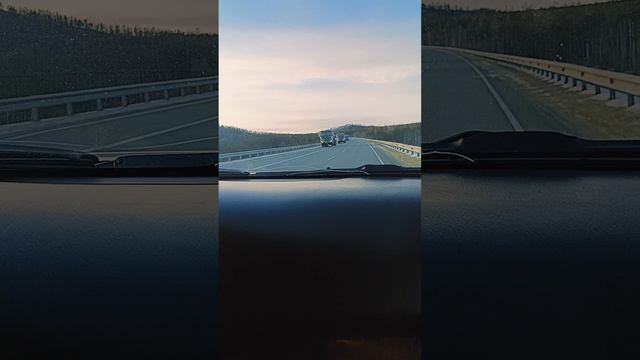 VID20241128155329.mp4