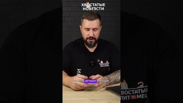 Полиция выследила вора обуви из японского детского сада