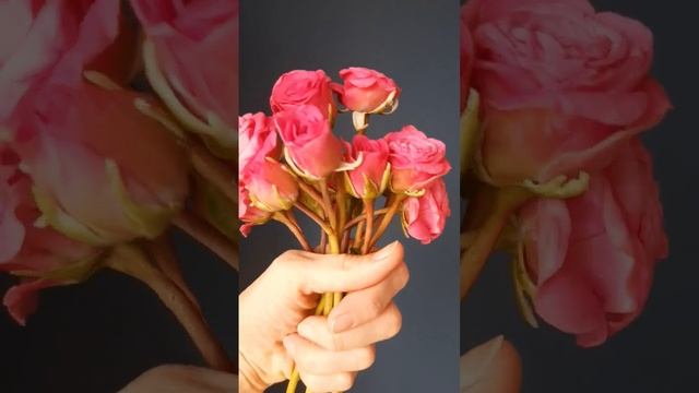 Ботаническая Скульптура из холодного фарфора/ мои работы