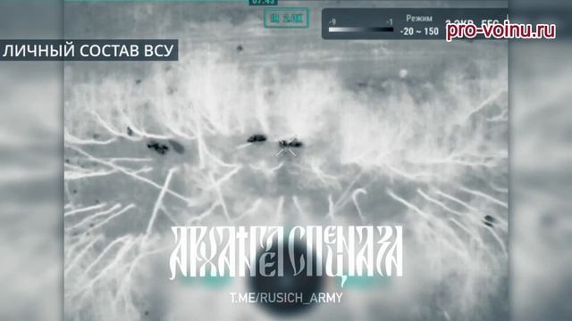 «Потеряшки» на своём законном месте.