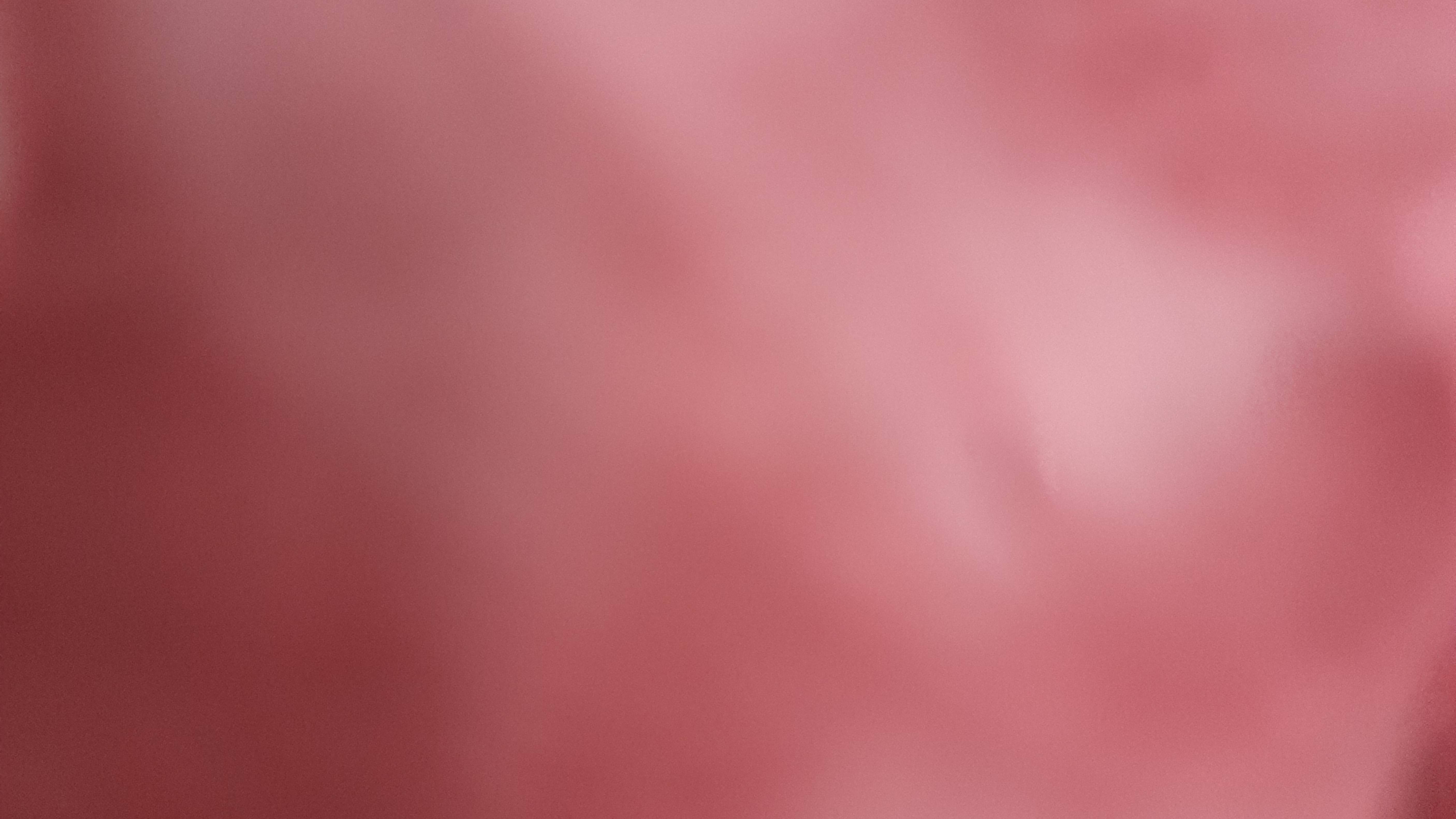 Розовый КАКАСЬКА