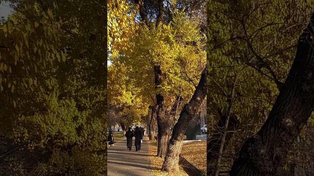 Утро Алматы. 29.11.2024