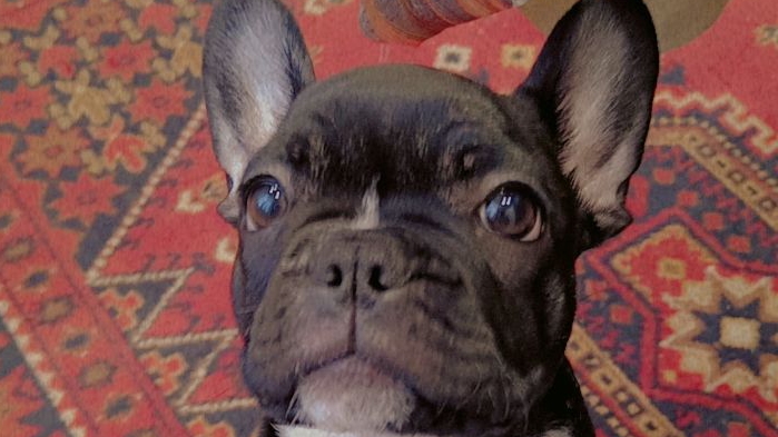 Моя красотка