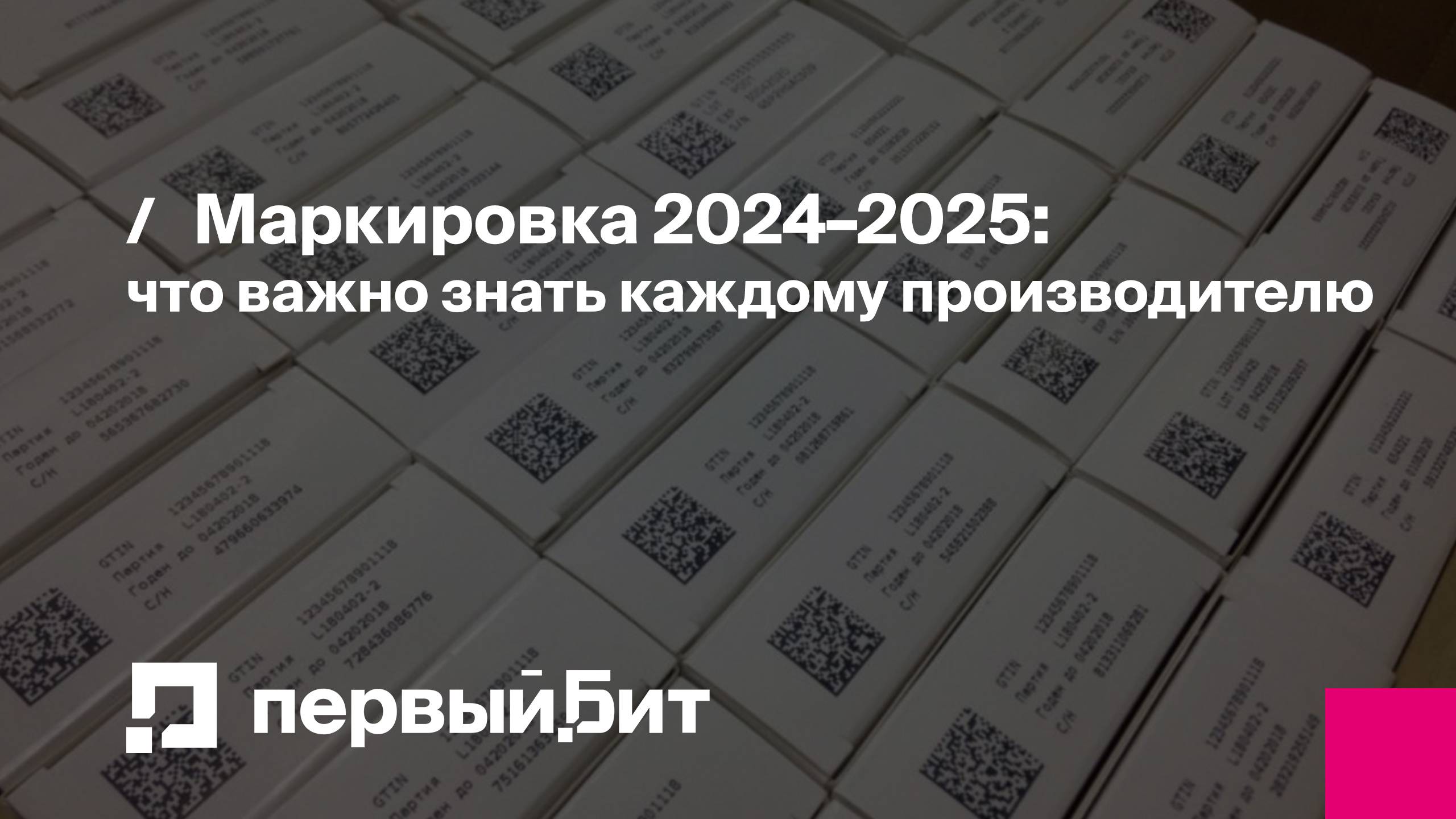 Маркировка 2024–2025: что важно знать каждому производителю | Первый Бит | Вебинар