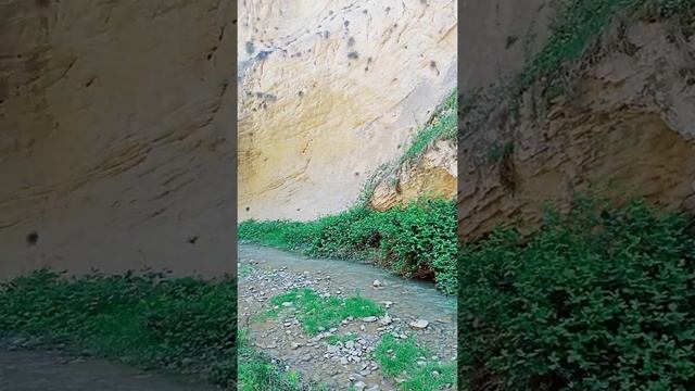 Горная река в ущелье Дагар