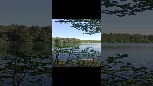 Лесное озеро.