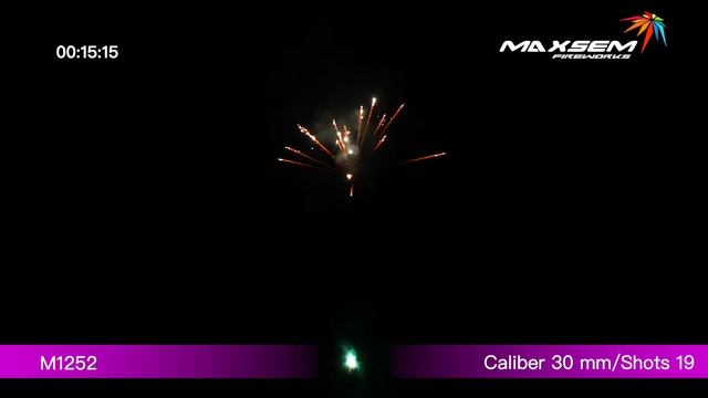 M1252, Maxsem Fireworks, NEW YEAR