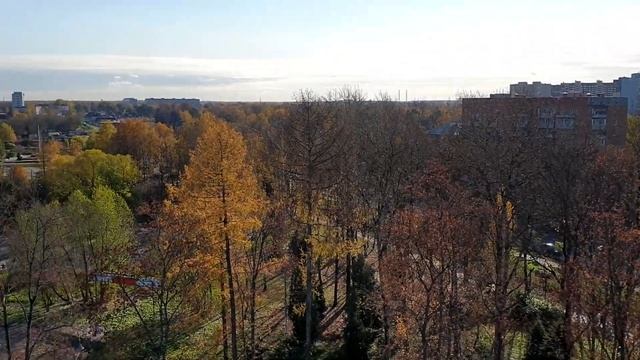 Колесо обозрения в ЦПКиО г. Мытищи