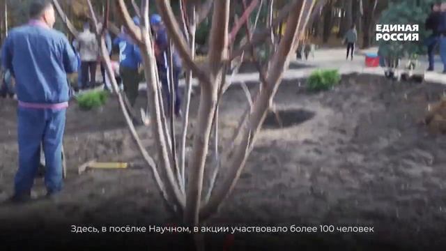 Акция Чистый Крым