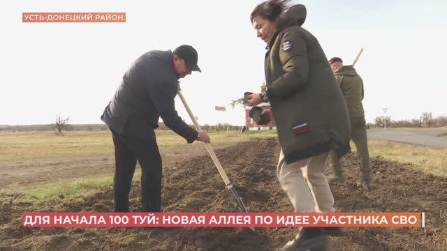 100 туй от участника СВО: новую аллею заложили в Усть-Донецком районе