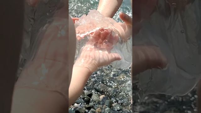 Поймали МЕГАмедузу!!! Она крутая!!! #сочи #shorts