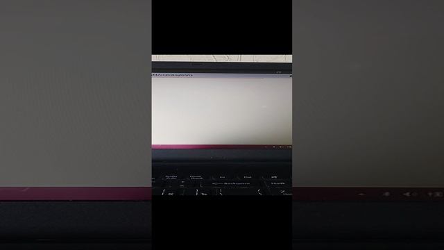 VID_20241117_115051
