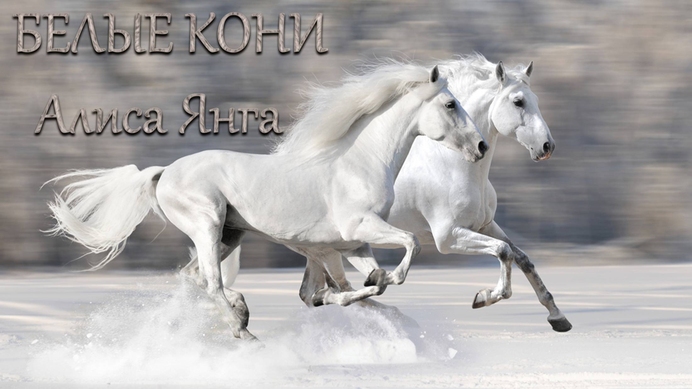 Алиса Янга - Белые кони