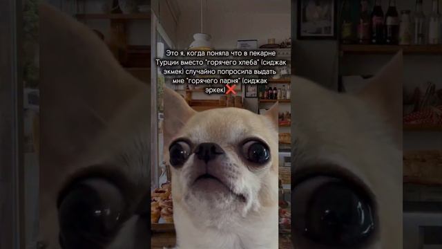 Горячий хлебушек или горячий парень?