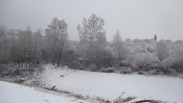 MVI_2769