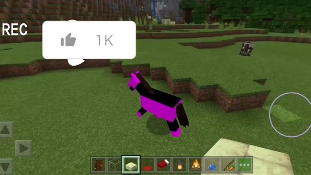 1000002264.mp4