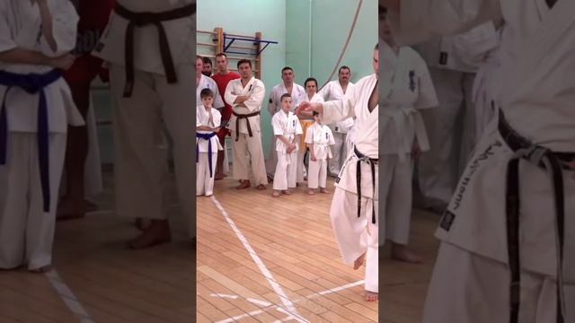 Кёкусинкай / Сихан Алексей Горохов / Детали Маваси-гэри дзёдан (2016)